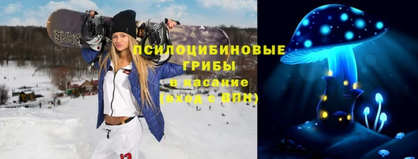 СК Абаза