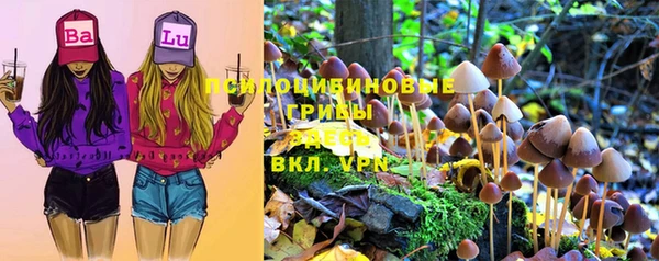 СК Абаза
