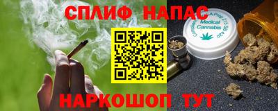 СК Севастополь