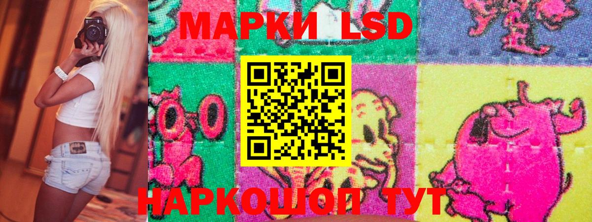 Наркотические марки 1500мкг  Вход с VPN  Марки 25I-NBOMe  Шарыпово 