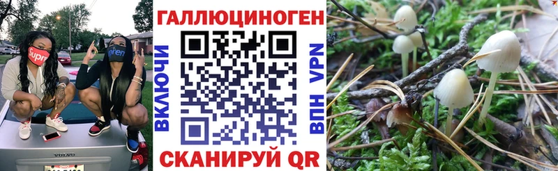 Псилоцибиновые грибы мицелий  мега ТОР  Шарыпово 