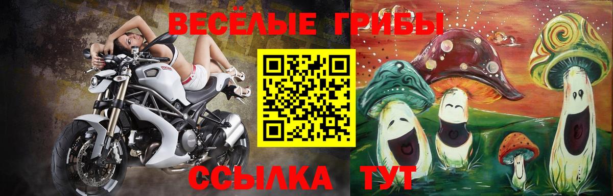 Шарыпово  Псилоцибиновые грибы прущие грибы  Вход с VPN 